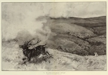 Un cervo giustificabile